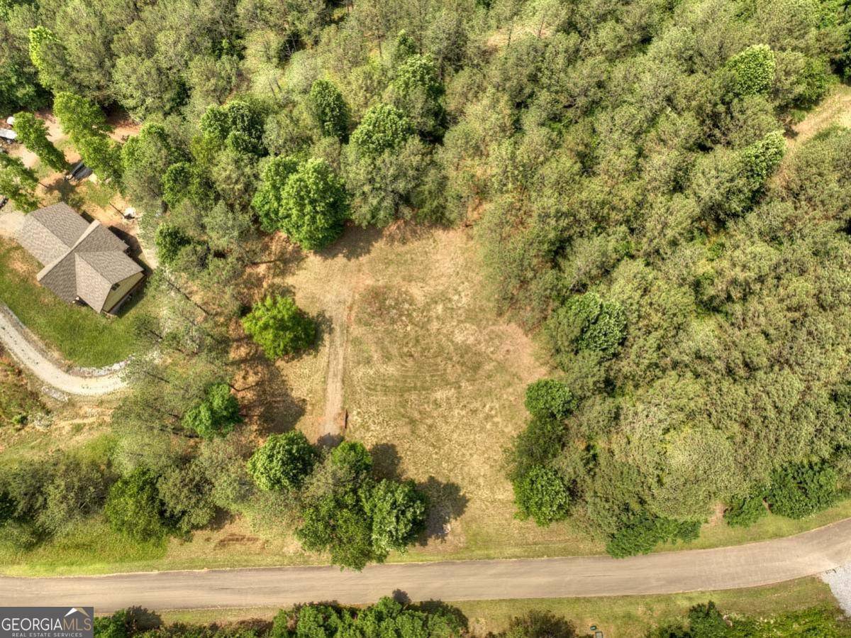 Ellijay, GA 30536,LOT 31 Eastside DR