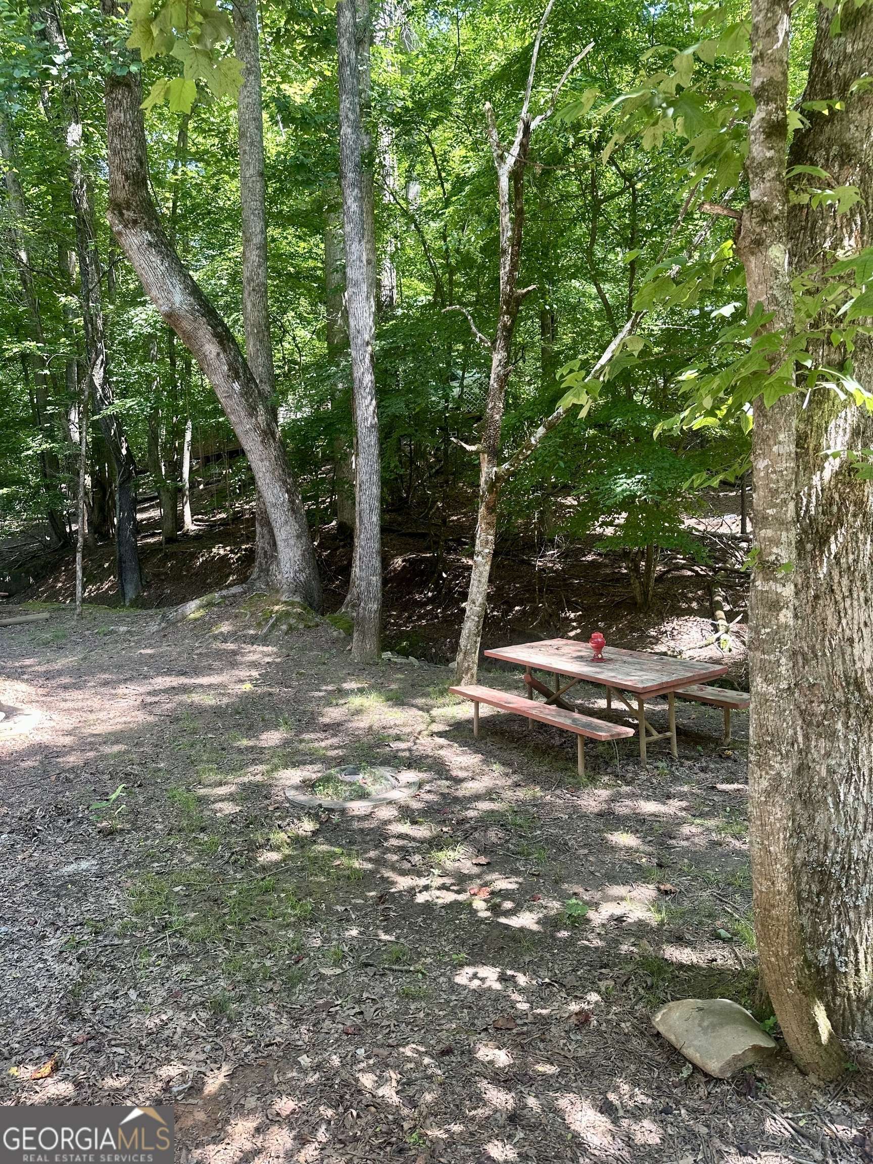 Ellijay, GA 30540,30 26th ST