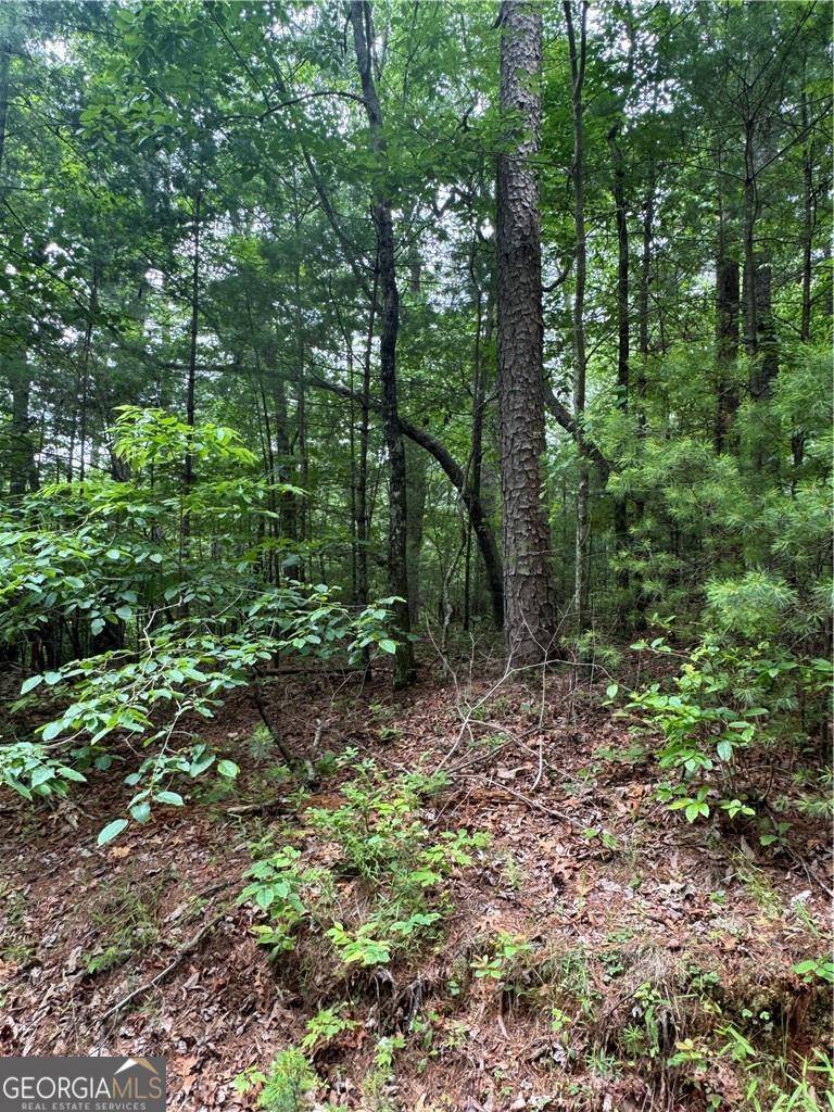 Dahlonega, GA 30533,0 Nimblewill Creek RD