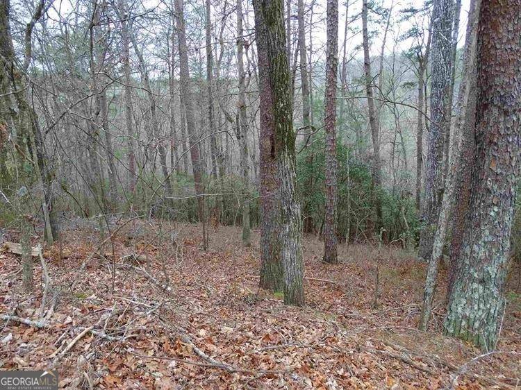 Cleveland, GA 30528,0 Valhalla DR