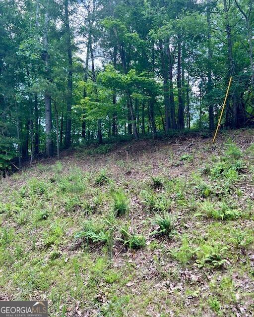 Ranger, GA 30734,133 Adair DR NE