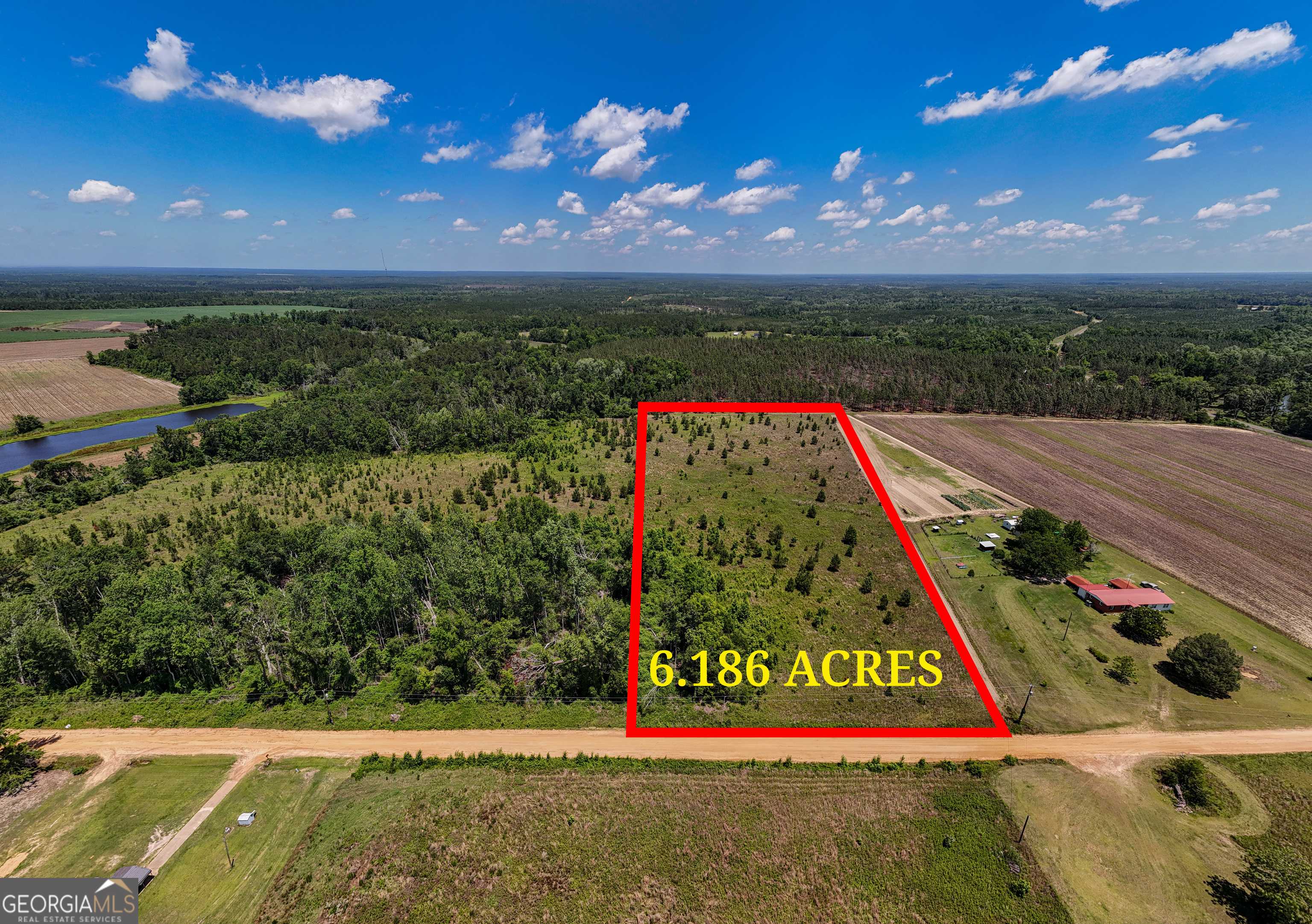 Adrian, GA 31002,LOT #4 - 6.2+/- Perry Horton RD