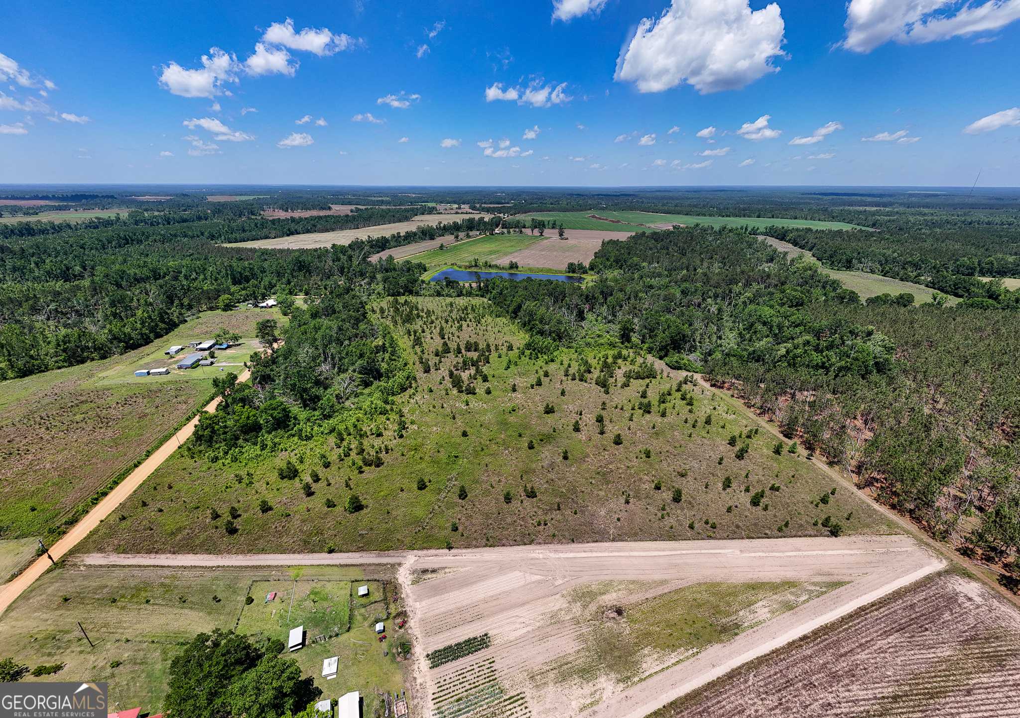 Adrian, GA 31002,LOT #4 - 6.2+/- Perry Horton RD