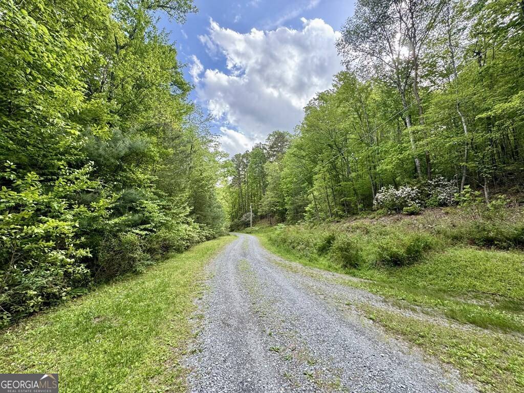 Blue Ridge, GA 30513,208 Bullen Gap RD