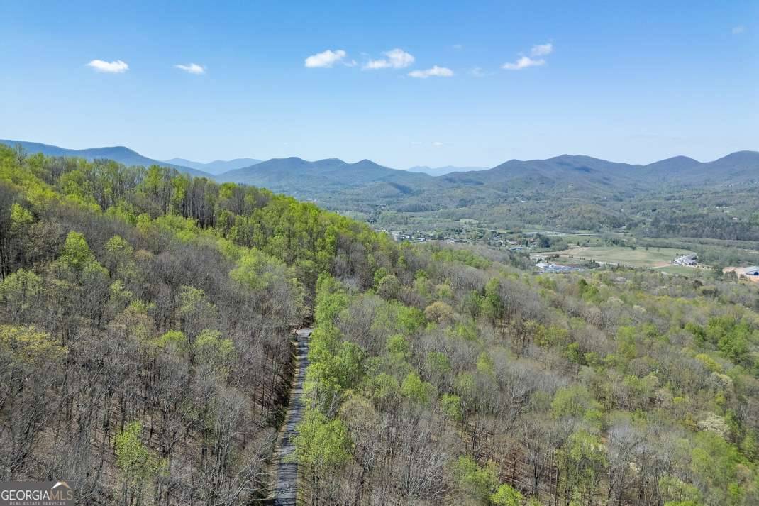 Young Harris, GA 30582,LOT 88 Rocky Knob EST