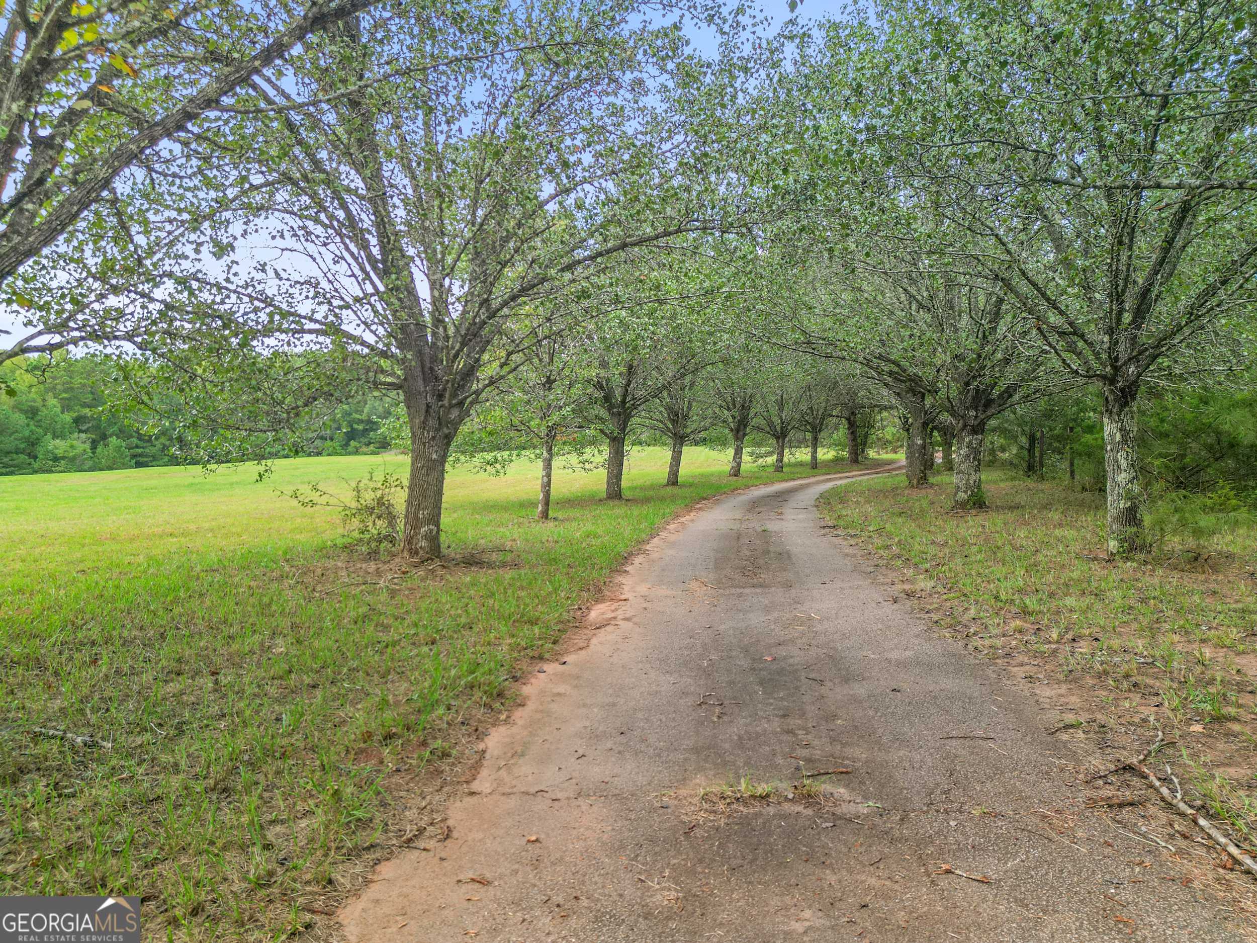 Zebulon, GA 30295,223 Arthur RD