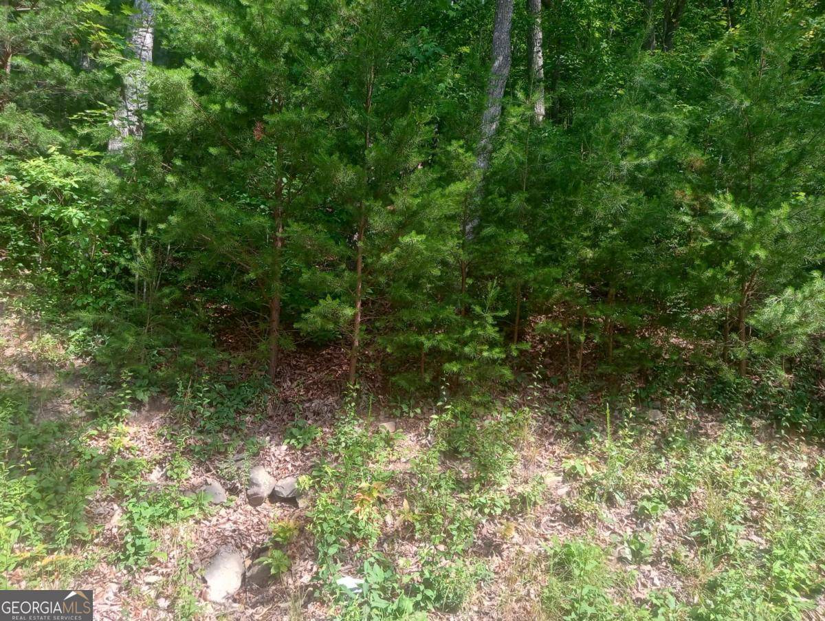 Ellijay, GA 30536,LT 233 Stone Cliff DR #233