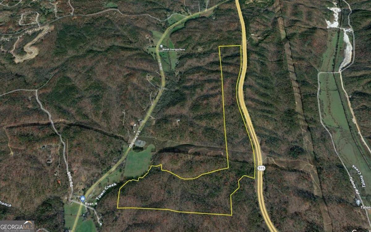 Ellijay, GA 30540,0 Hwy 515