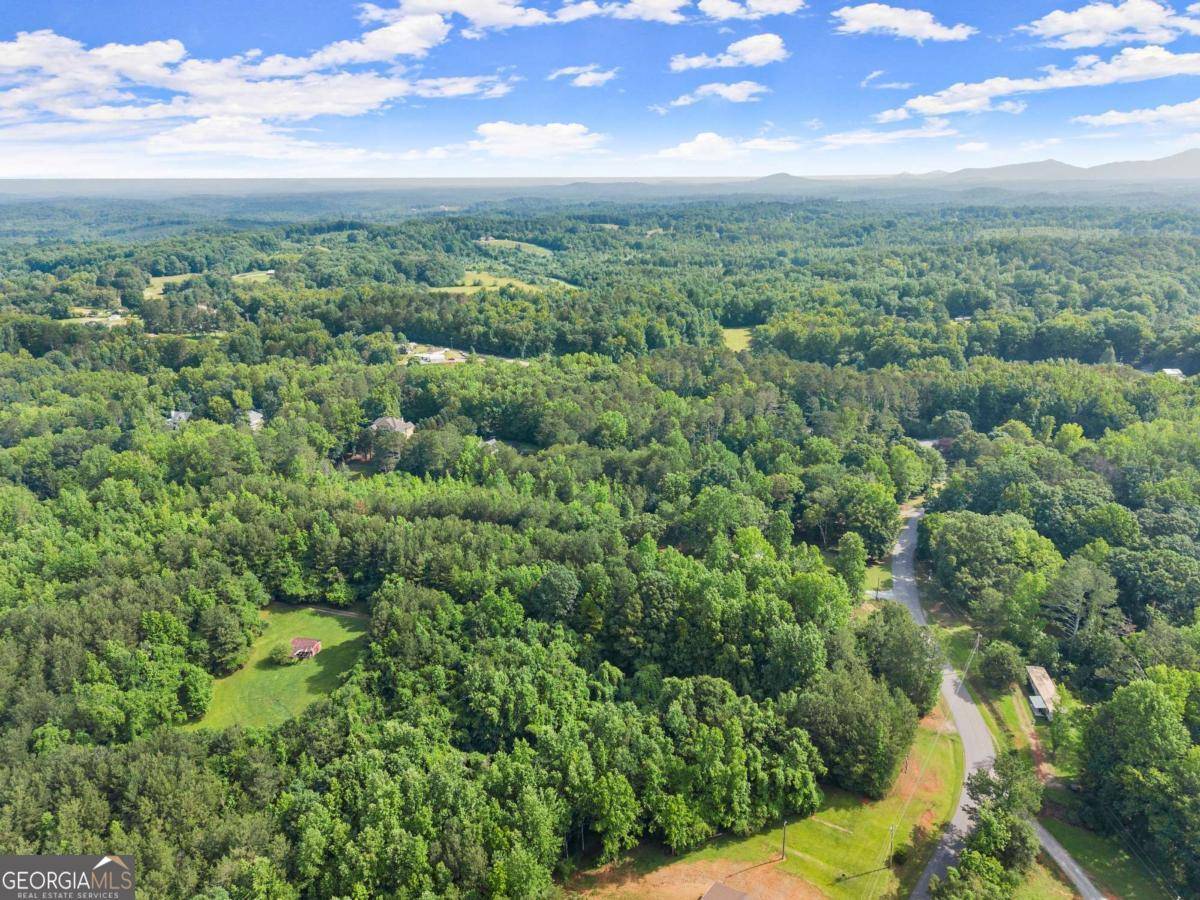 Murrayville, GA 30564,0 Yellow Creek RD