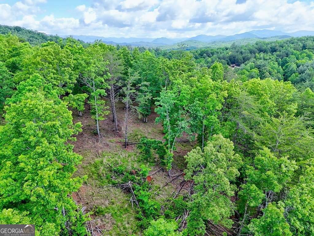 Brasstown, NC 28902,0 Mason RD