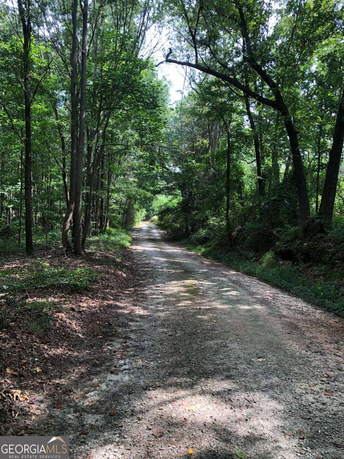 Alto, GA 30510,209 Alice Moss LN