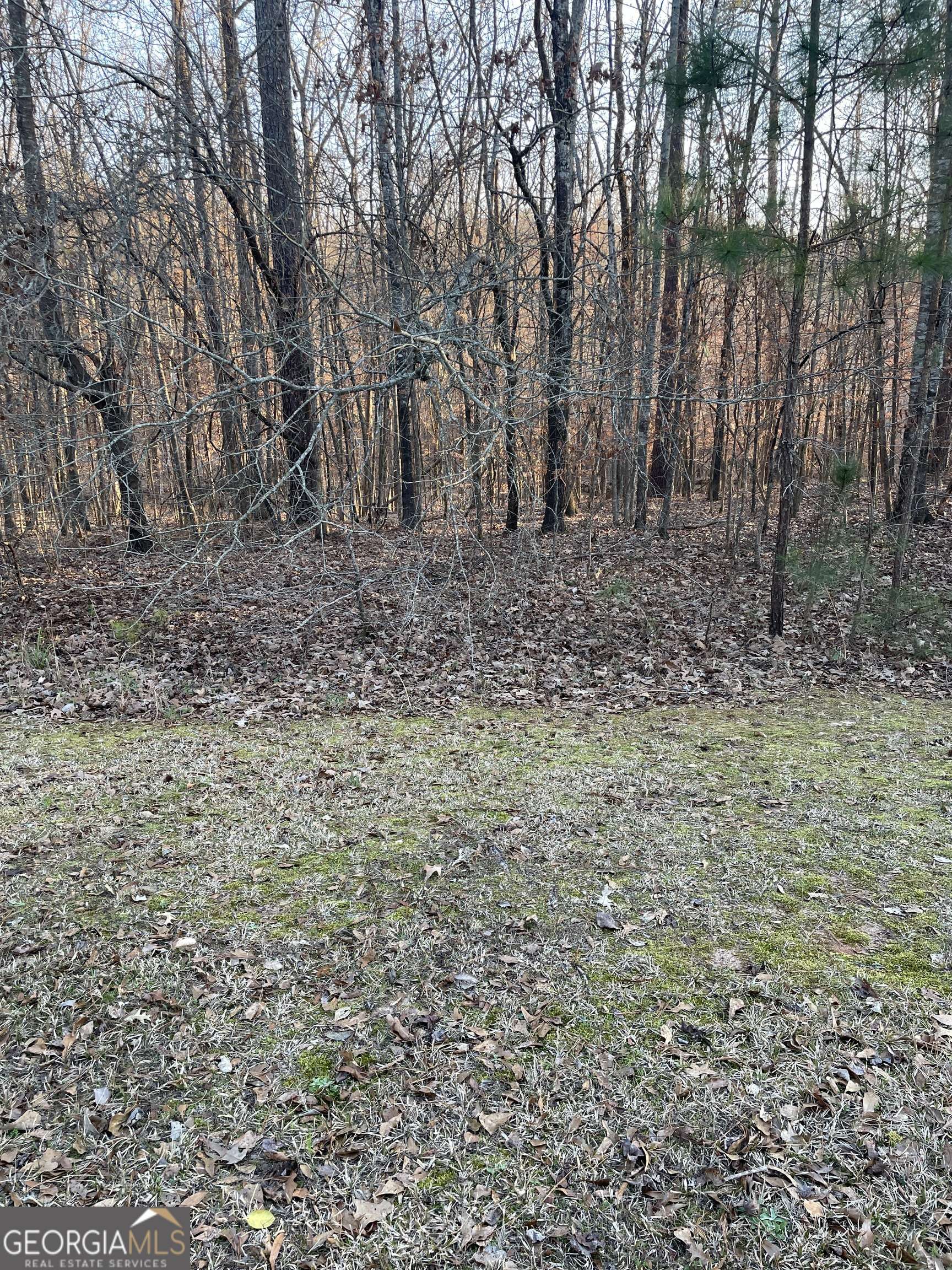 Sparta, GA 31087,0 Village