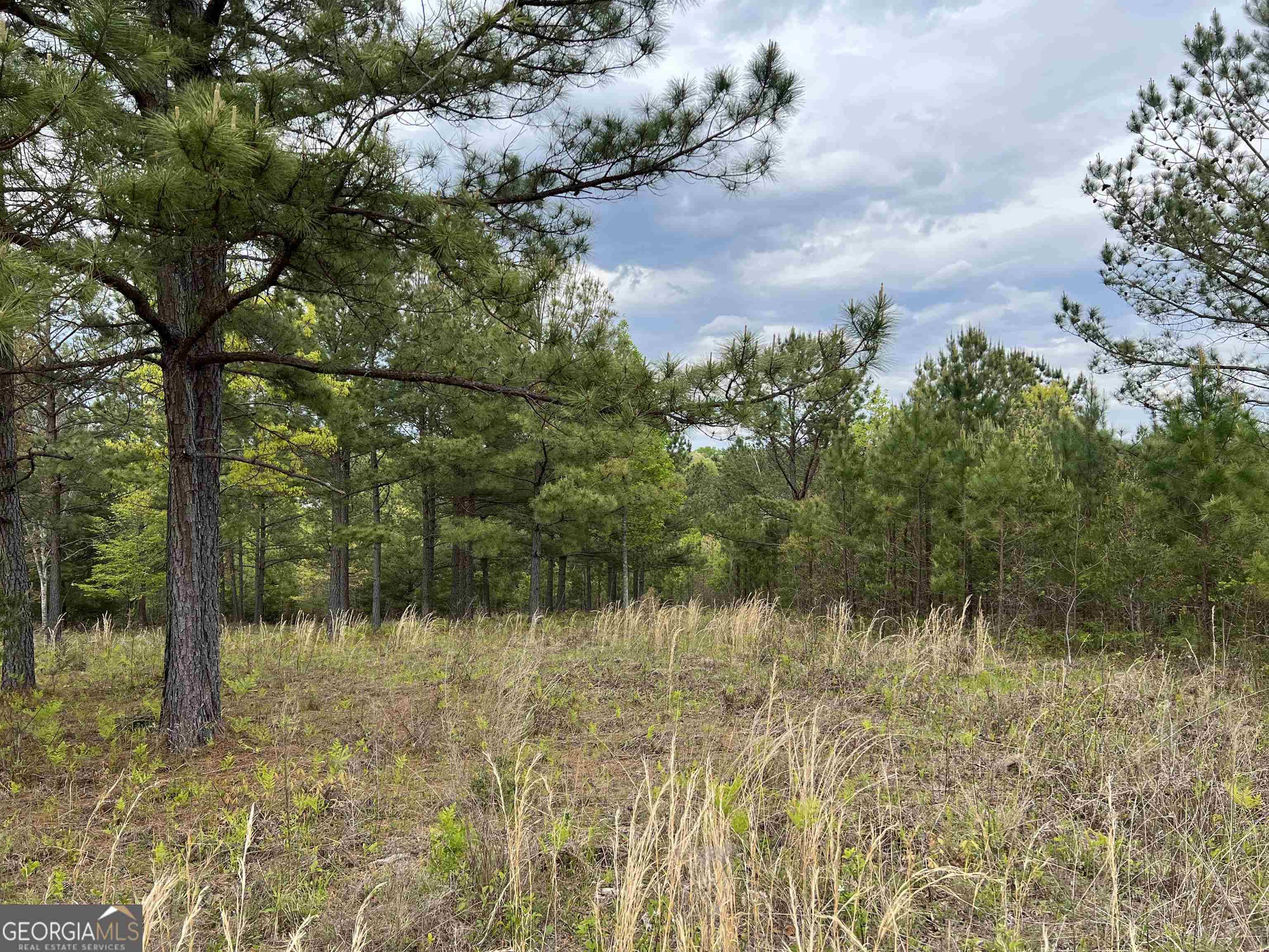 Blairsville, GA 30512,LOT 65 Village Loop