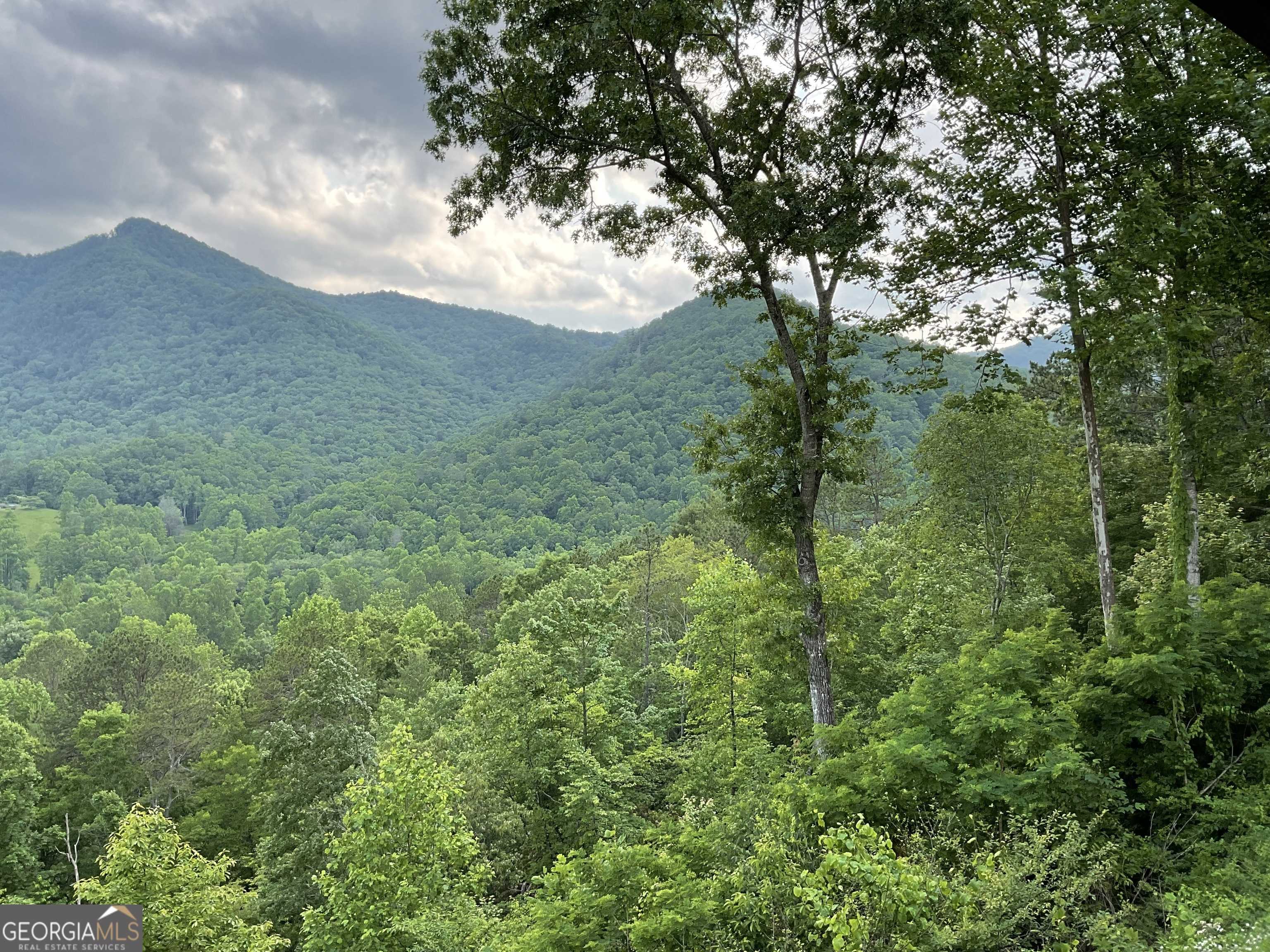 Rabun Gap, GA 30568,2956 Betty's Creek Road