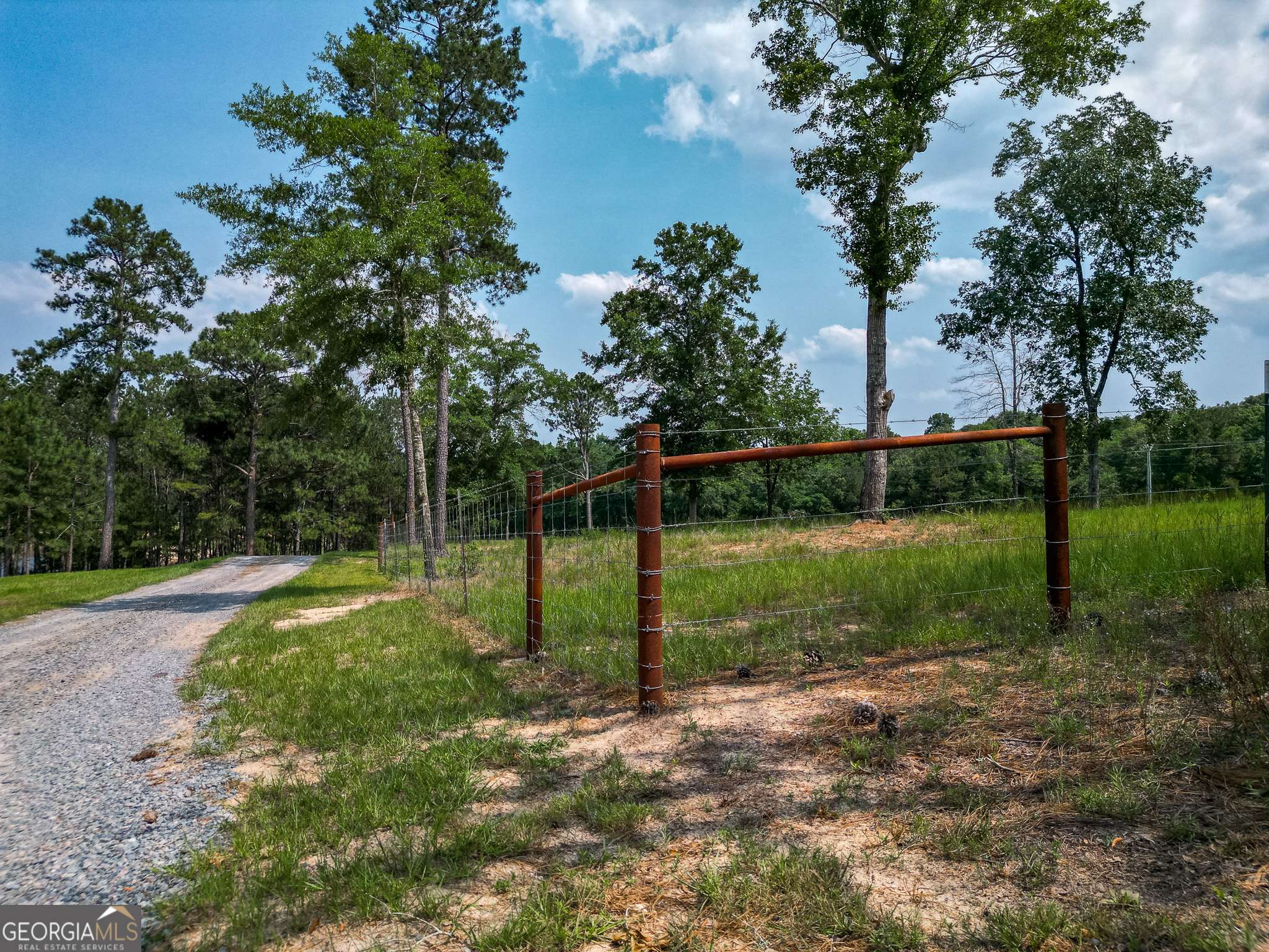 Buena Vista, GA 31803,1009 Walter Wells RD