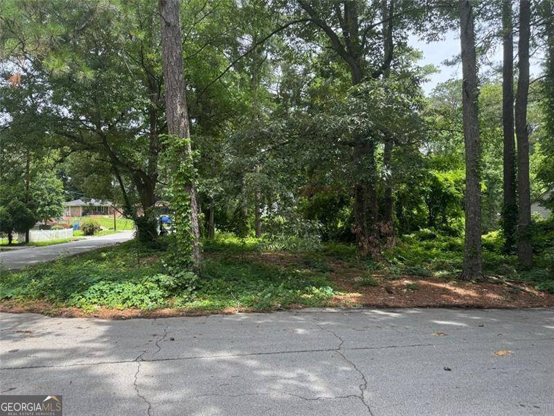 Atlanta, GA 30318,2529 Oldknow DR