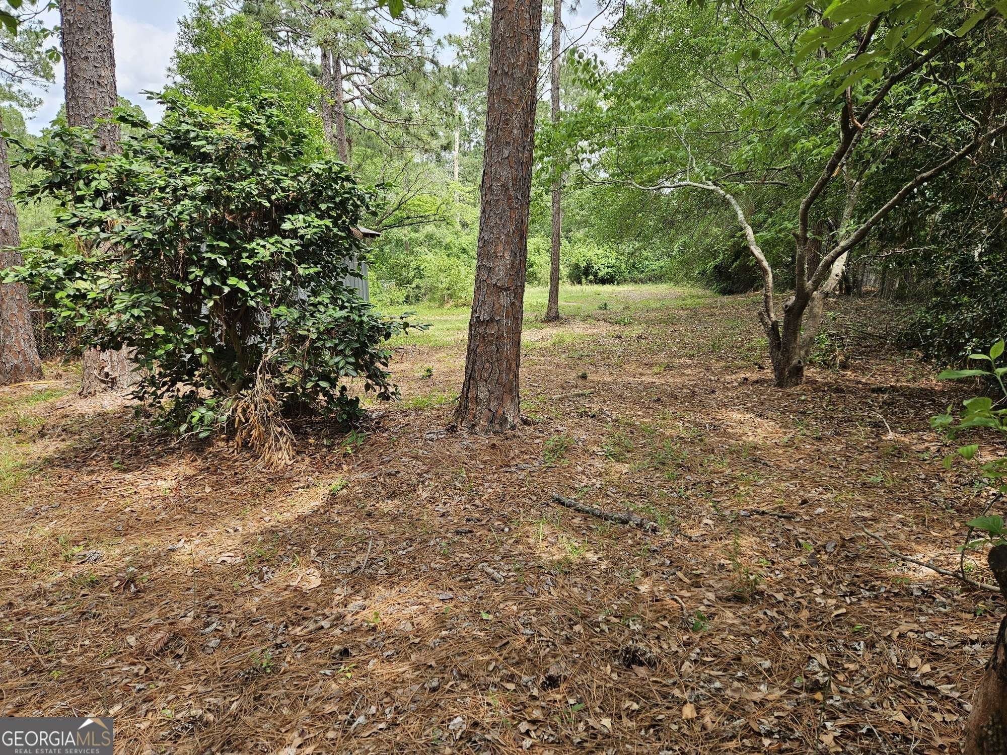 Statesboro, GA 30458,29 Jef RD