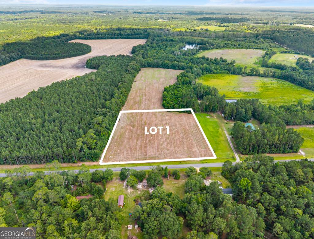 Pembroke, GA 31321,0 Burnsed RD