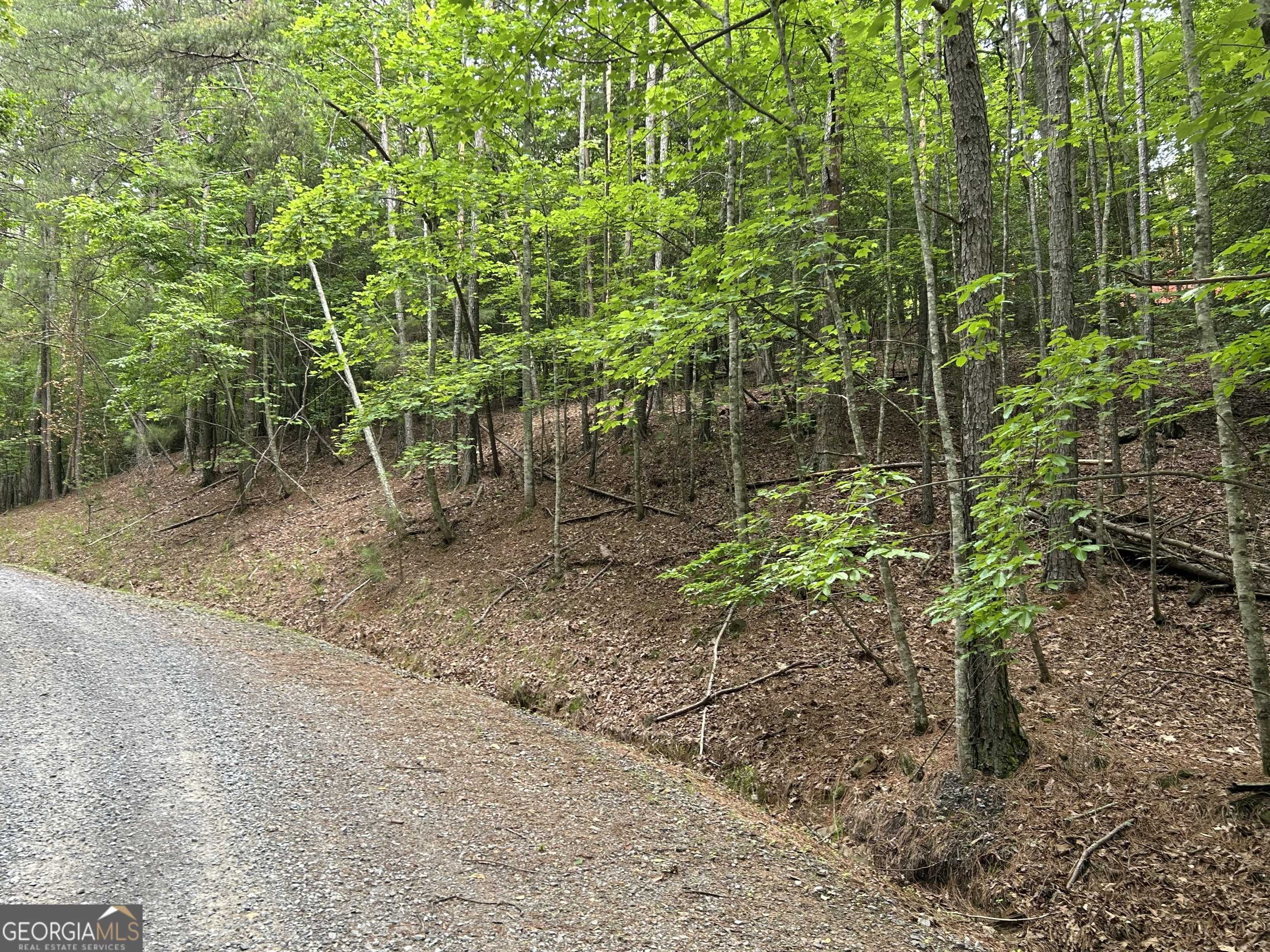 Ellijay, GA 30540,LT2788 Medina CT
