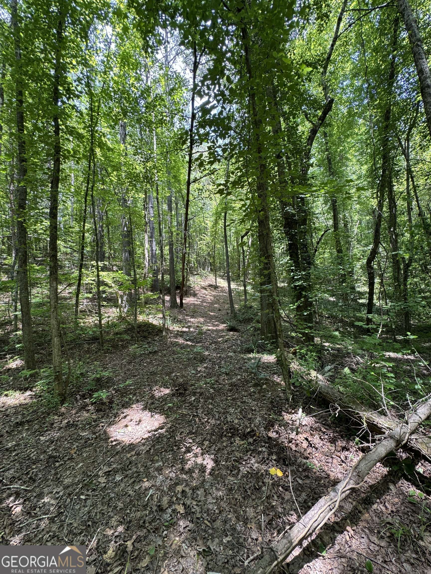 Ranger, GA 30734,0 Long Branch RD