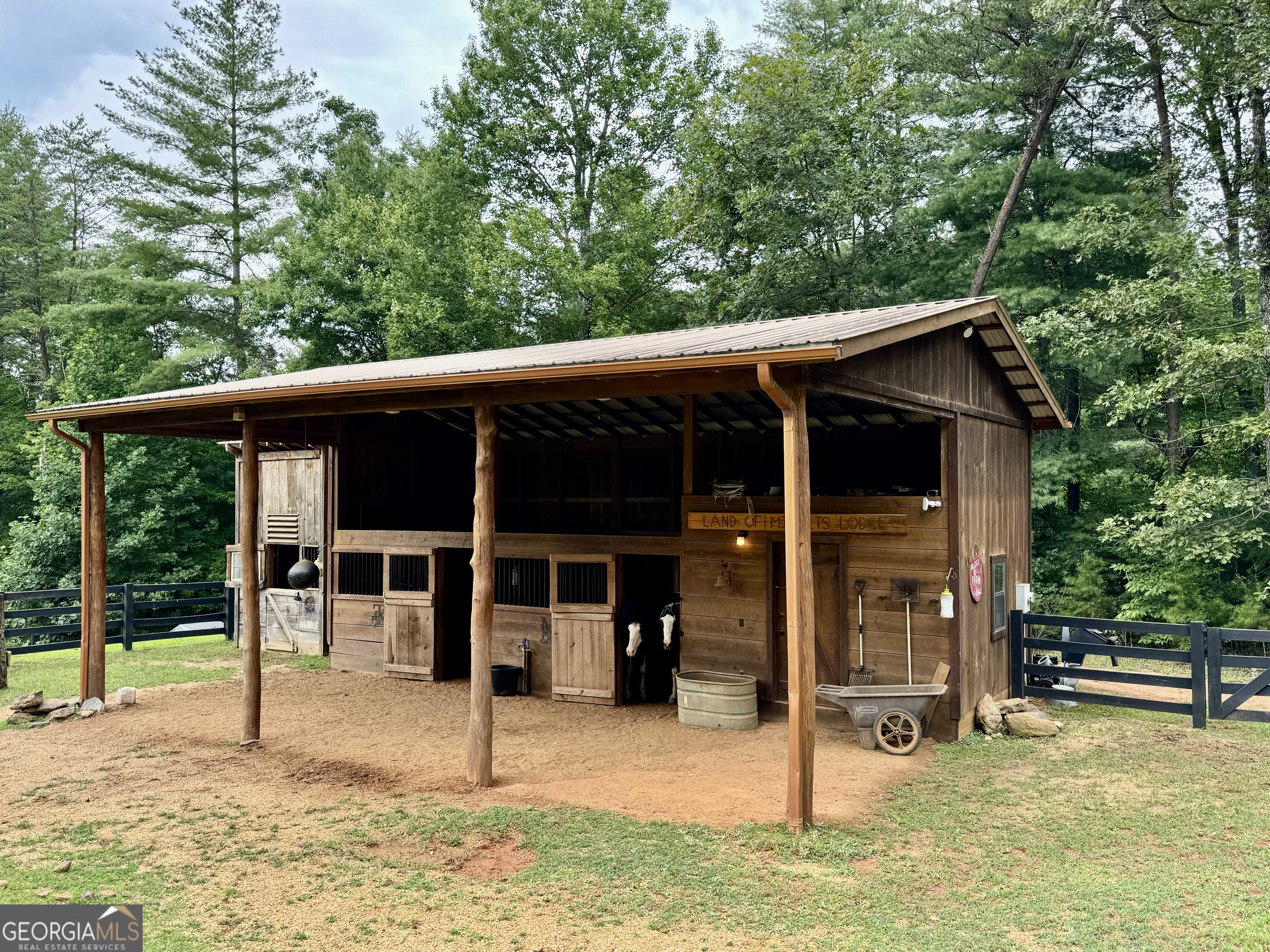 Blue Ridge, GA 30513,98 S Saddleback TRL