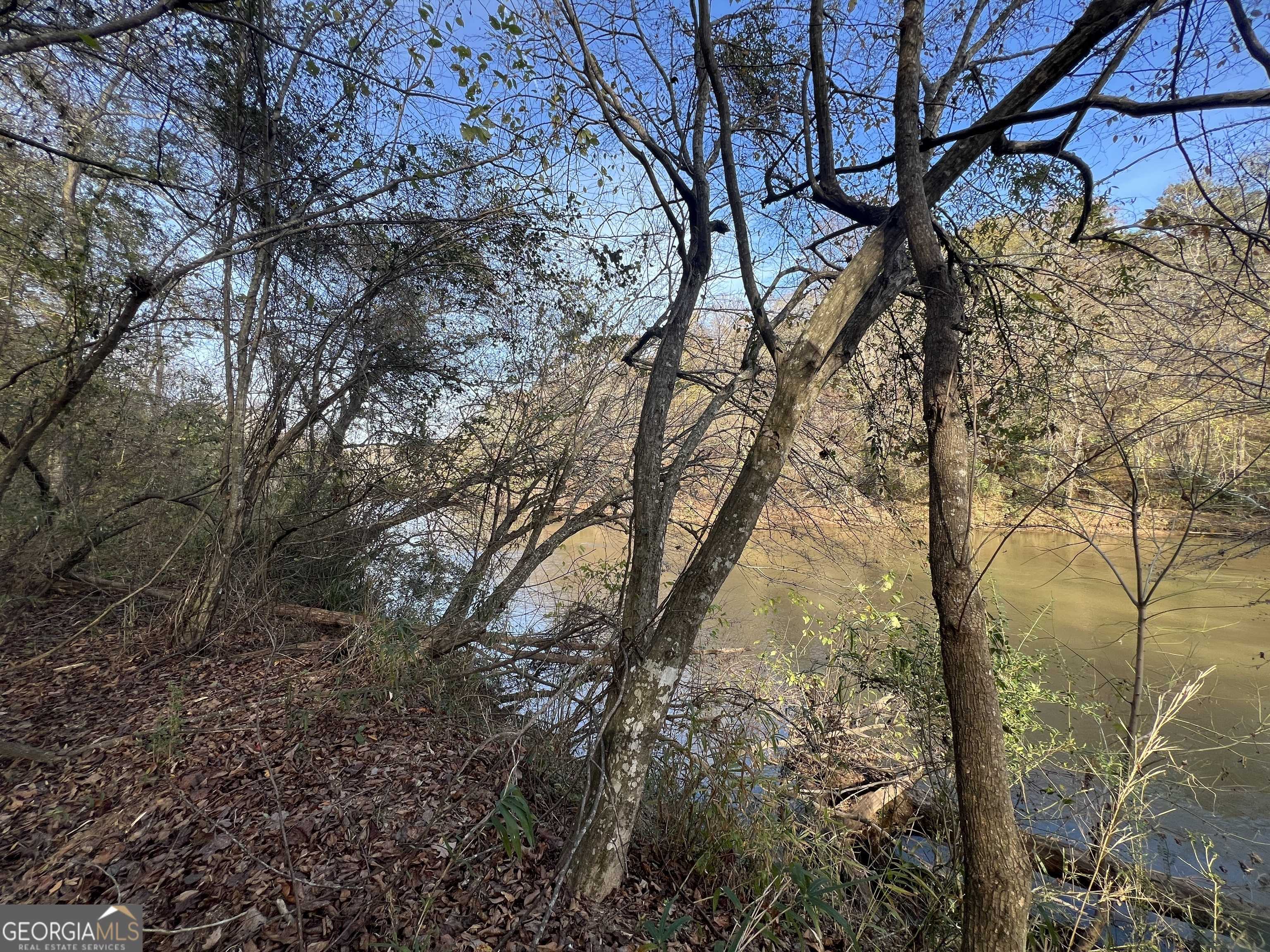 Danielsville, GA 30633,0 Dickson DR