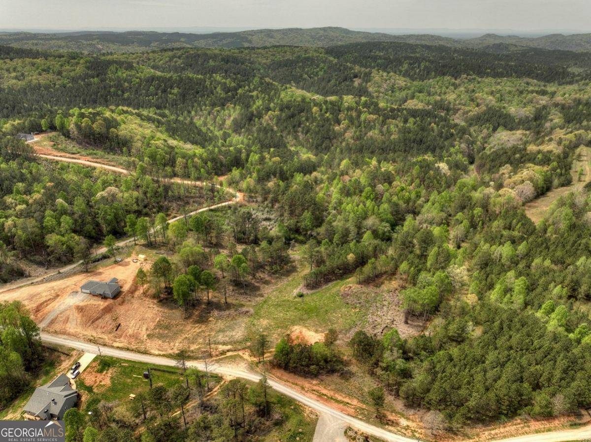 Talking Rock, GA 30175,84.37 AC Bethel RD