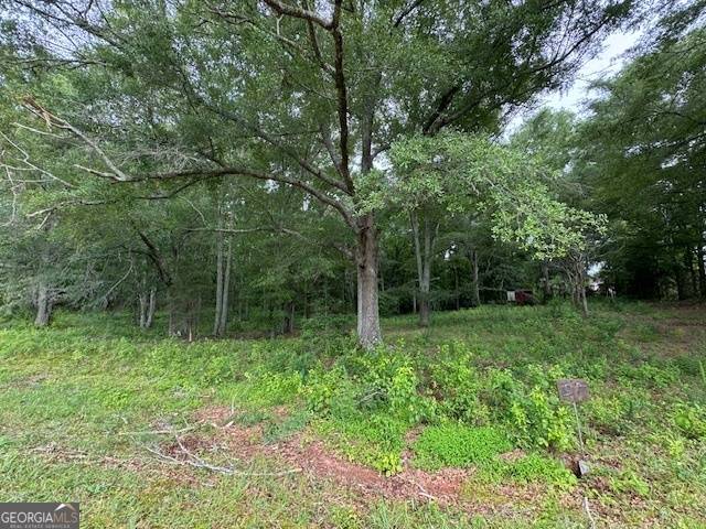 Franklin, GA 30217,92 Holiday RD