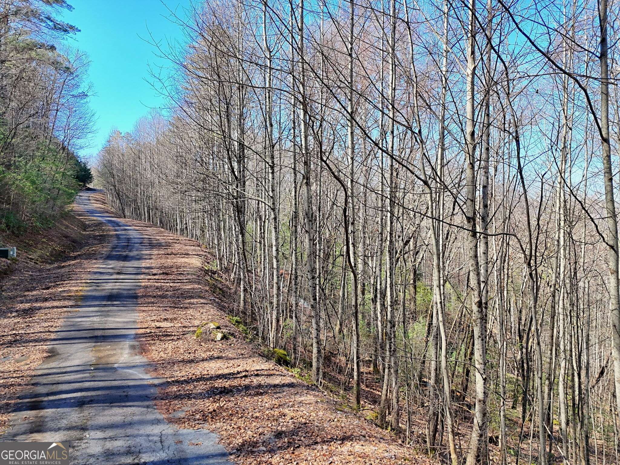 Rabun Gap, GA 30568,0 Shake Holw DR