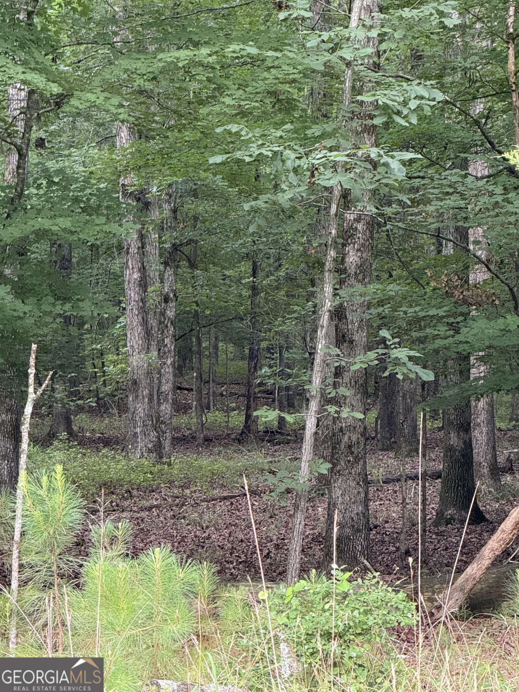 Calhoun, GA 30701,0 Culpepper RD #TRACT 2