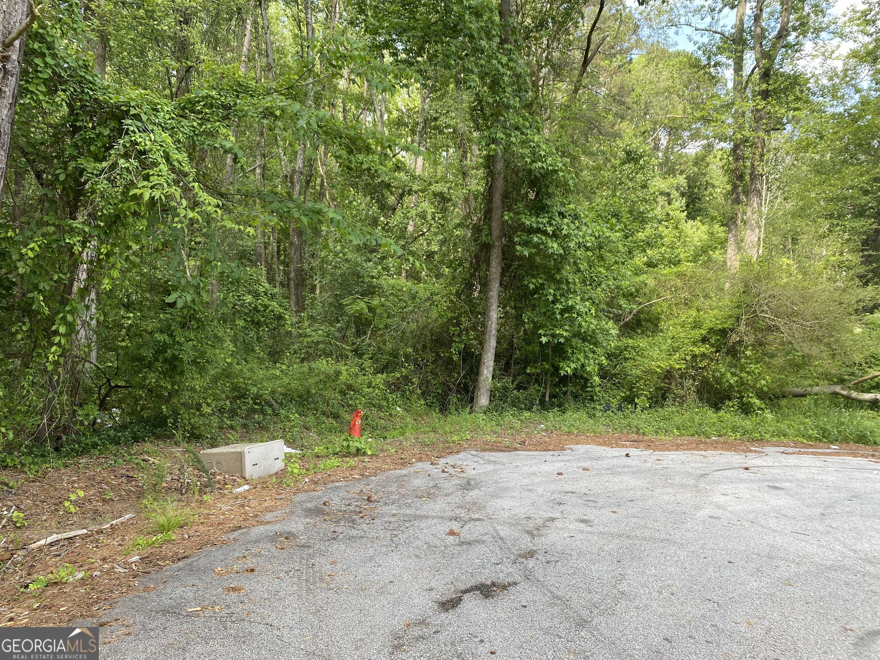 Conyers, GA 30094,1675 McCollum RD SW
