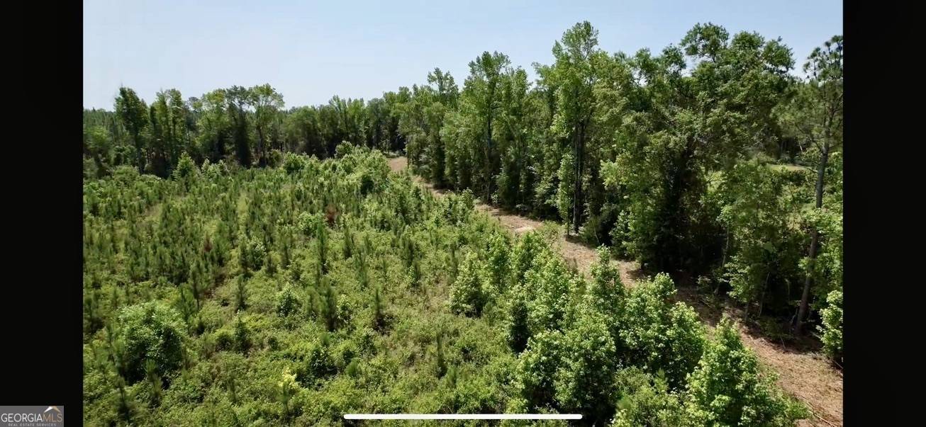 Cadwell, GA 31009,0 Bennett Colter Rd