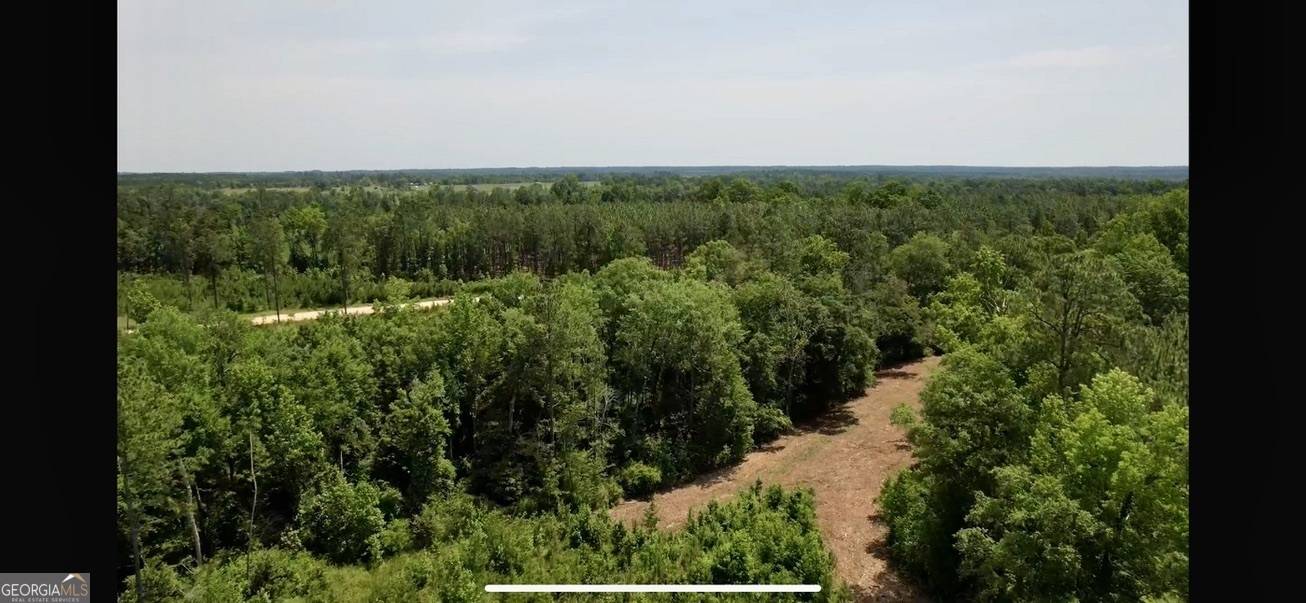 Cadwell, GA 31009,0 Bennett Colter Rd