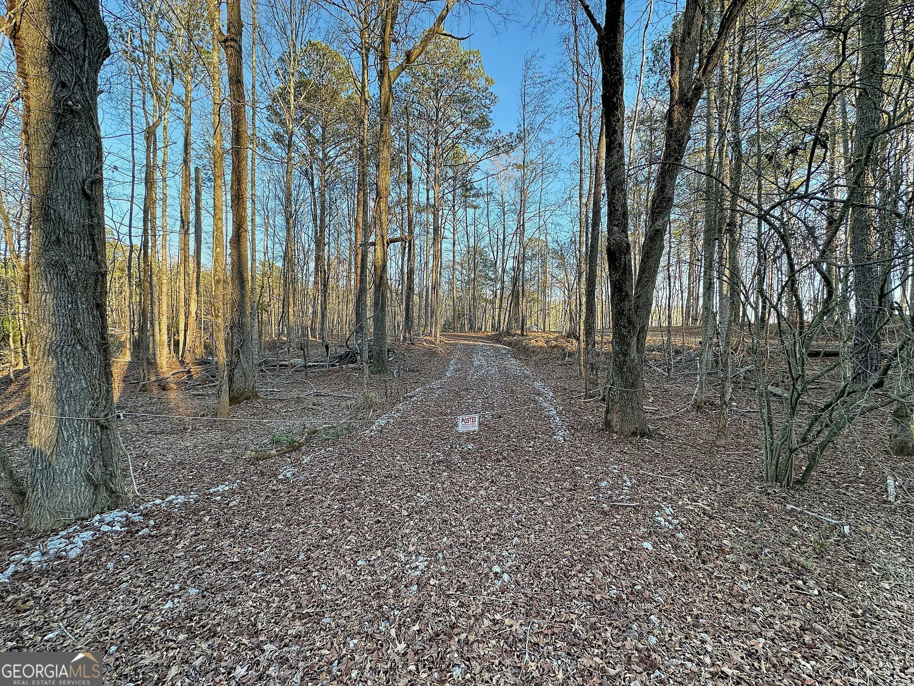 Lagrange, GA 30240,0 N State Line RD