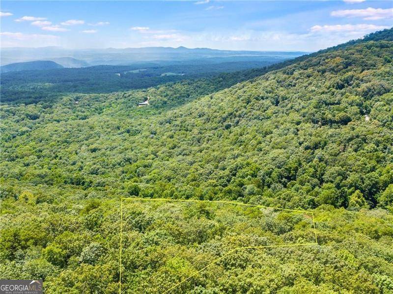 Big Canoe, GA 30143,8267 Cox Mountain LN