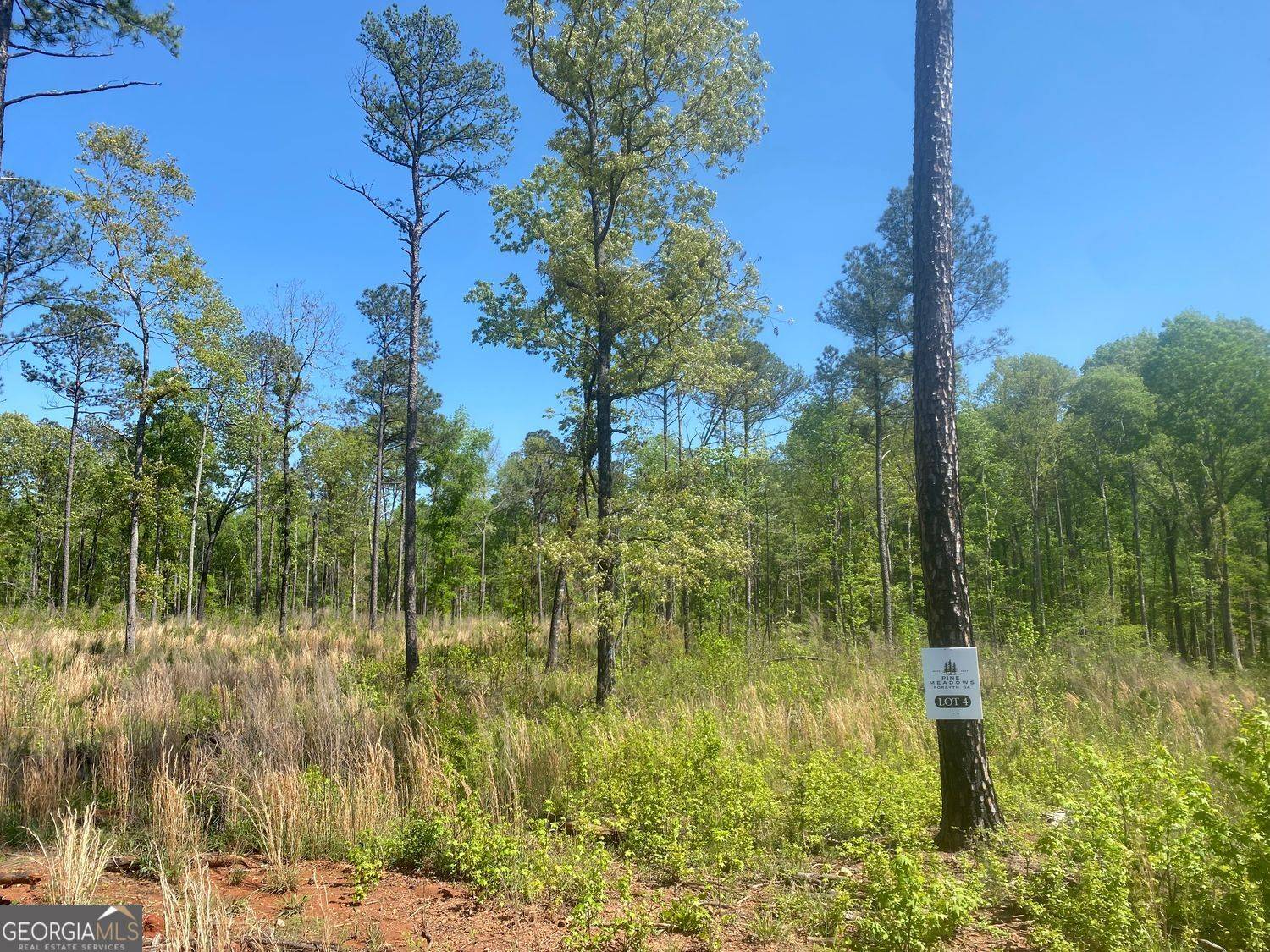 Forsyth, GA 31029,LOT 4 Giles Road