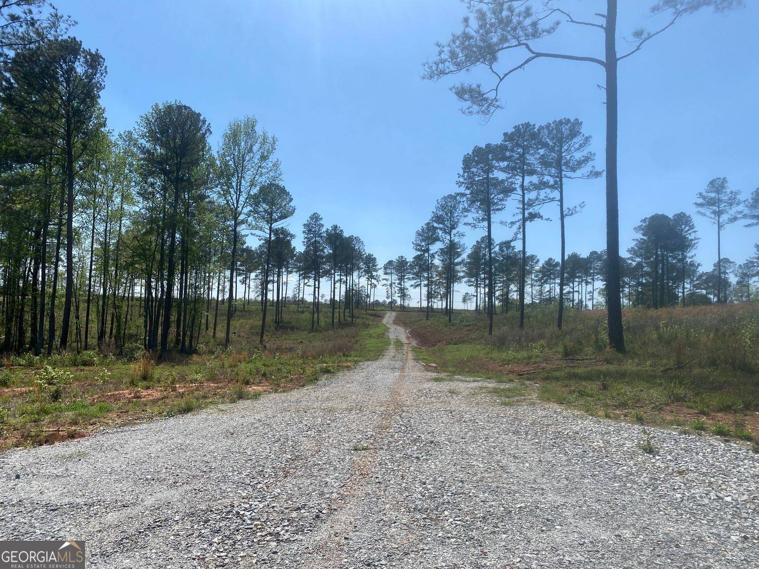 Forsyth, GA 31029,LOT 4 Giles Road
