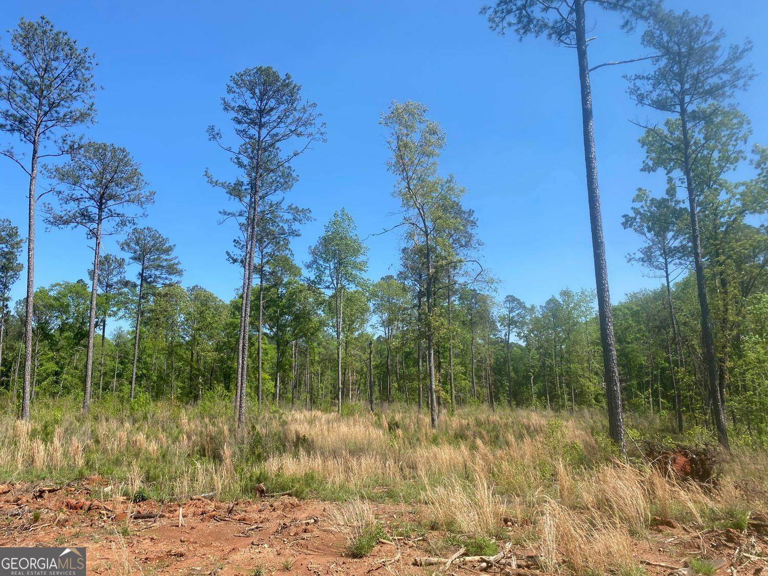 Forsyth, GA 31029,LOT 4 Giles Road