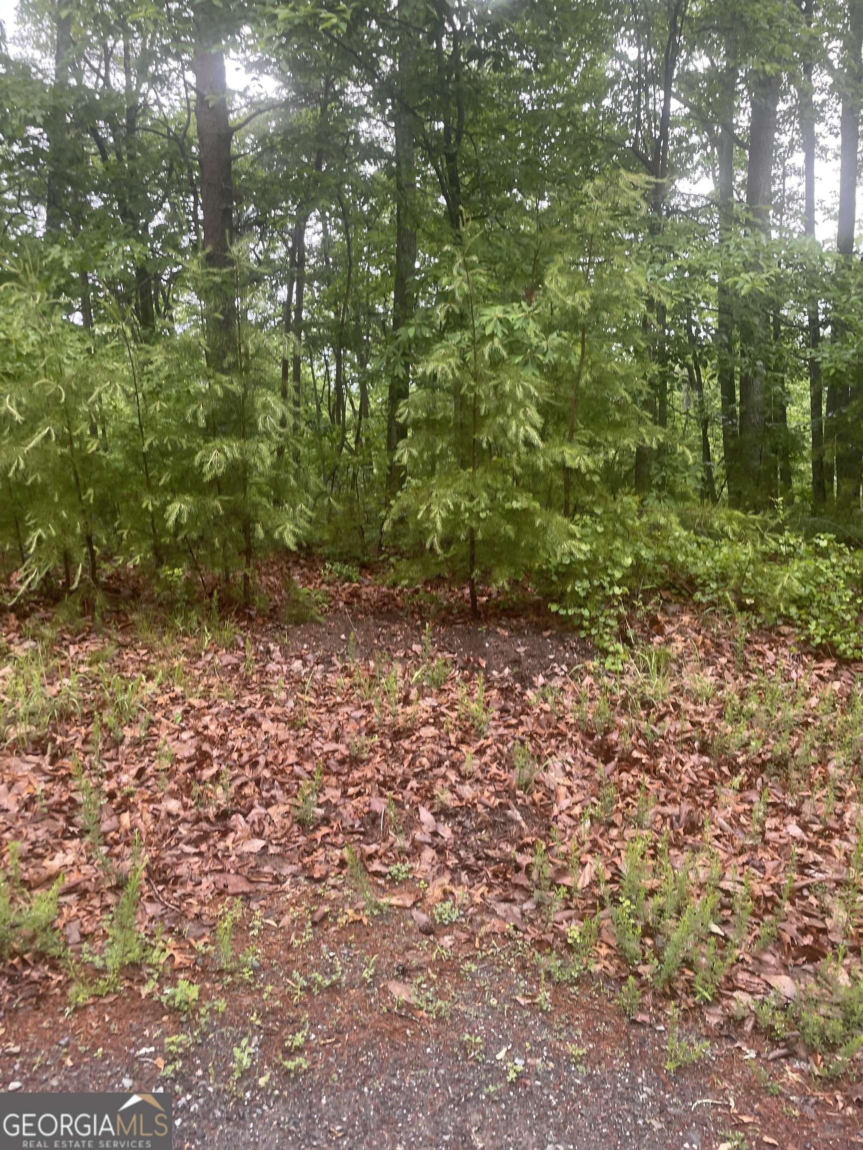 Ranger, GA 30734,586 Galaxy WAY NE
