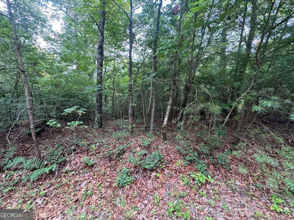 Ranger, GA 30734,793 Woodbine LN