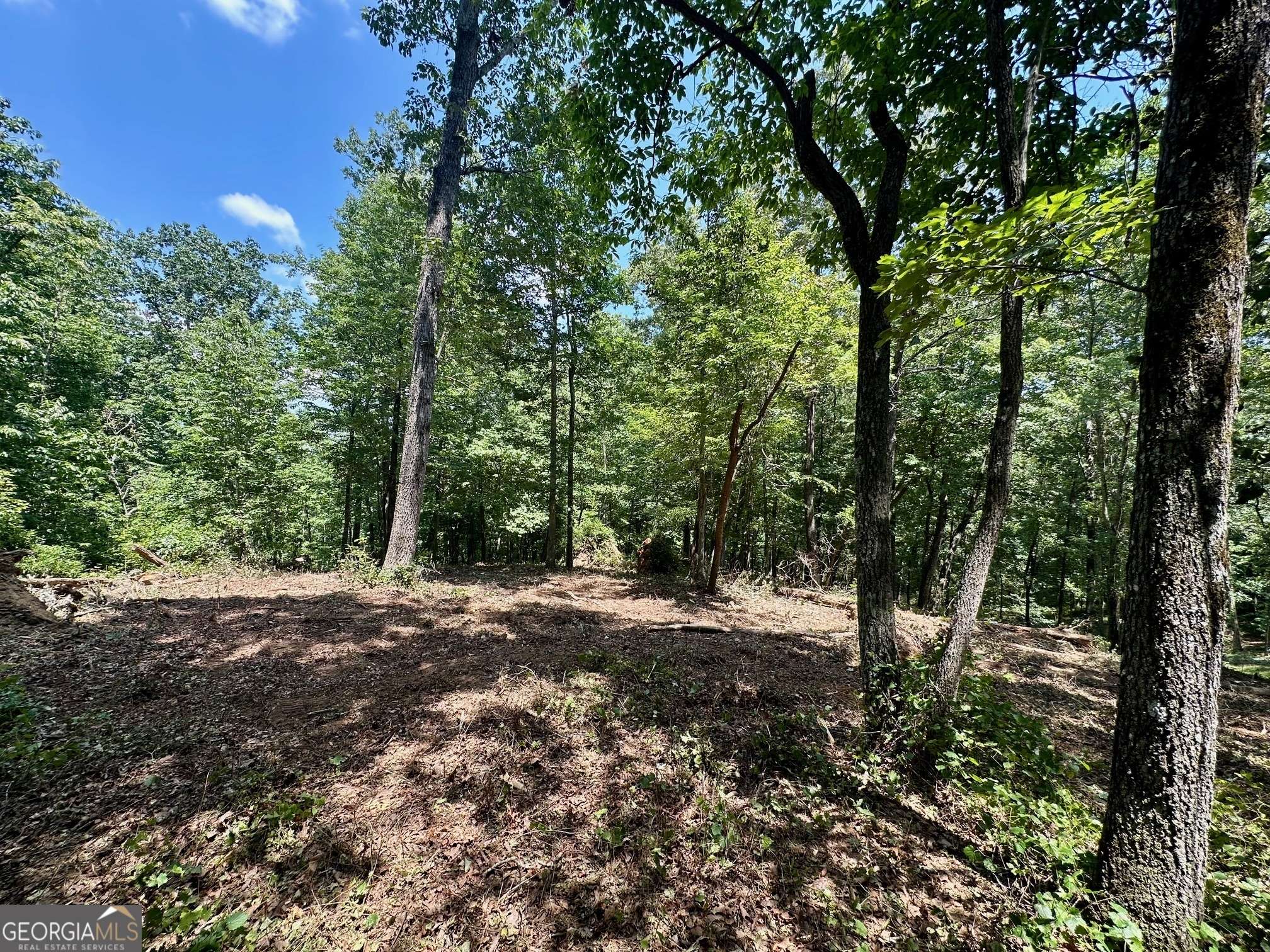 Murrayville, GA 30564,6.2 Mincey Acres DR