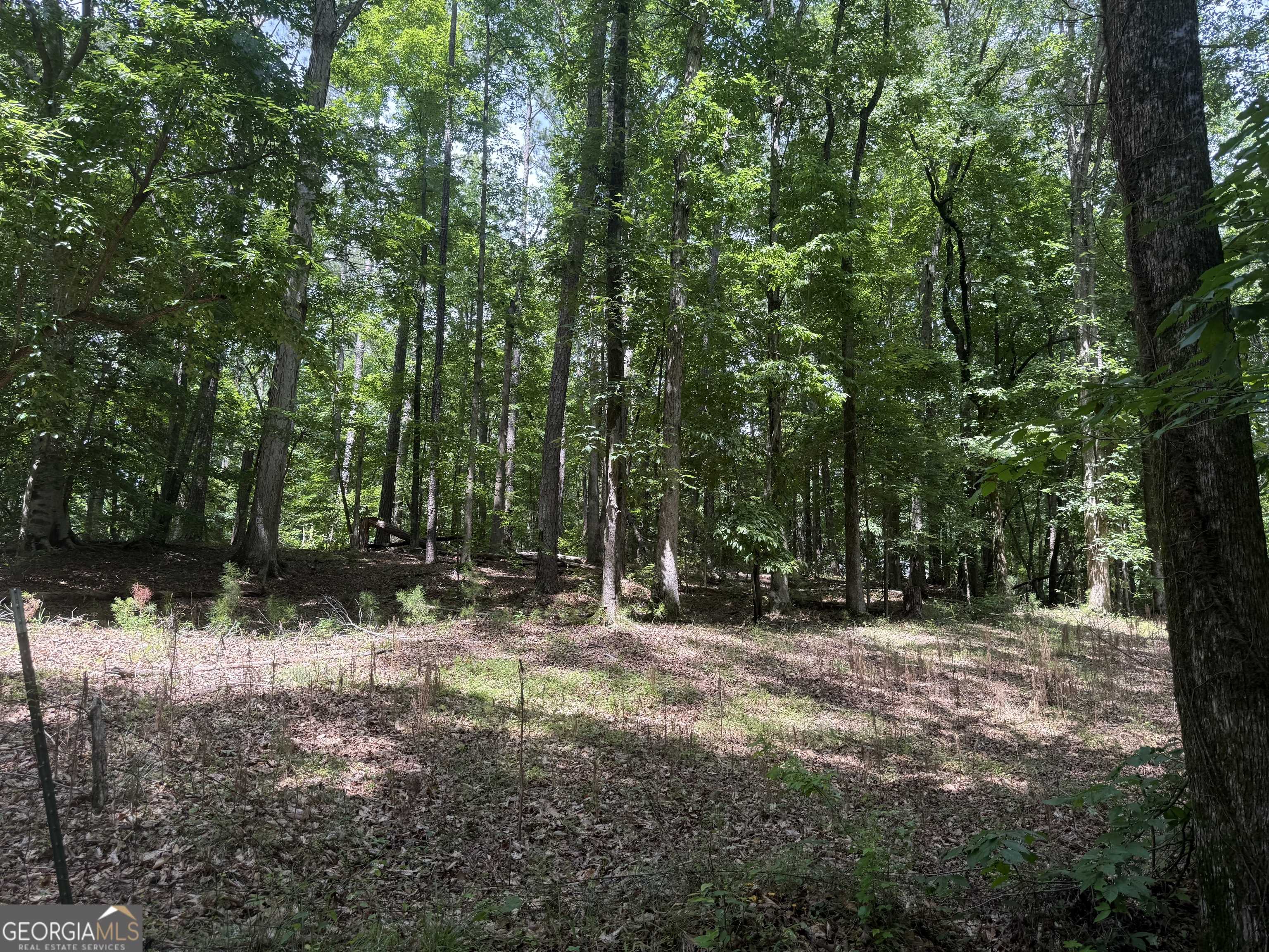 Hampton, GA 30228,0 Turner RD
