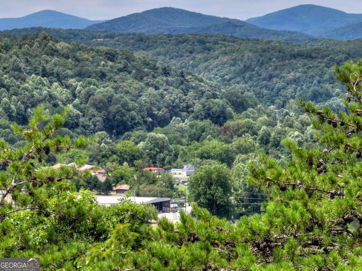 Ellijay, GA 30540,LOT 4 Mountain TRCE #4