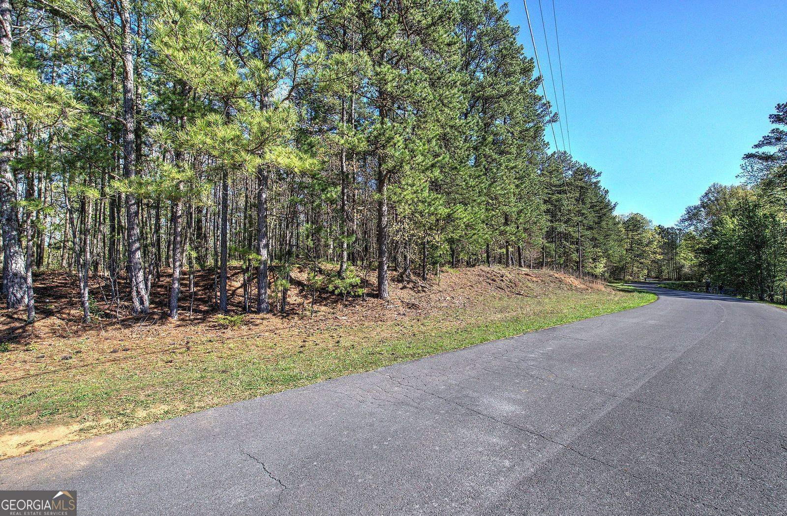 Buchanan, GA 30113,0 McKibben RD