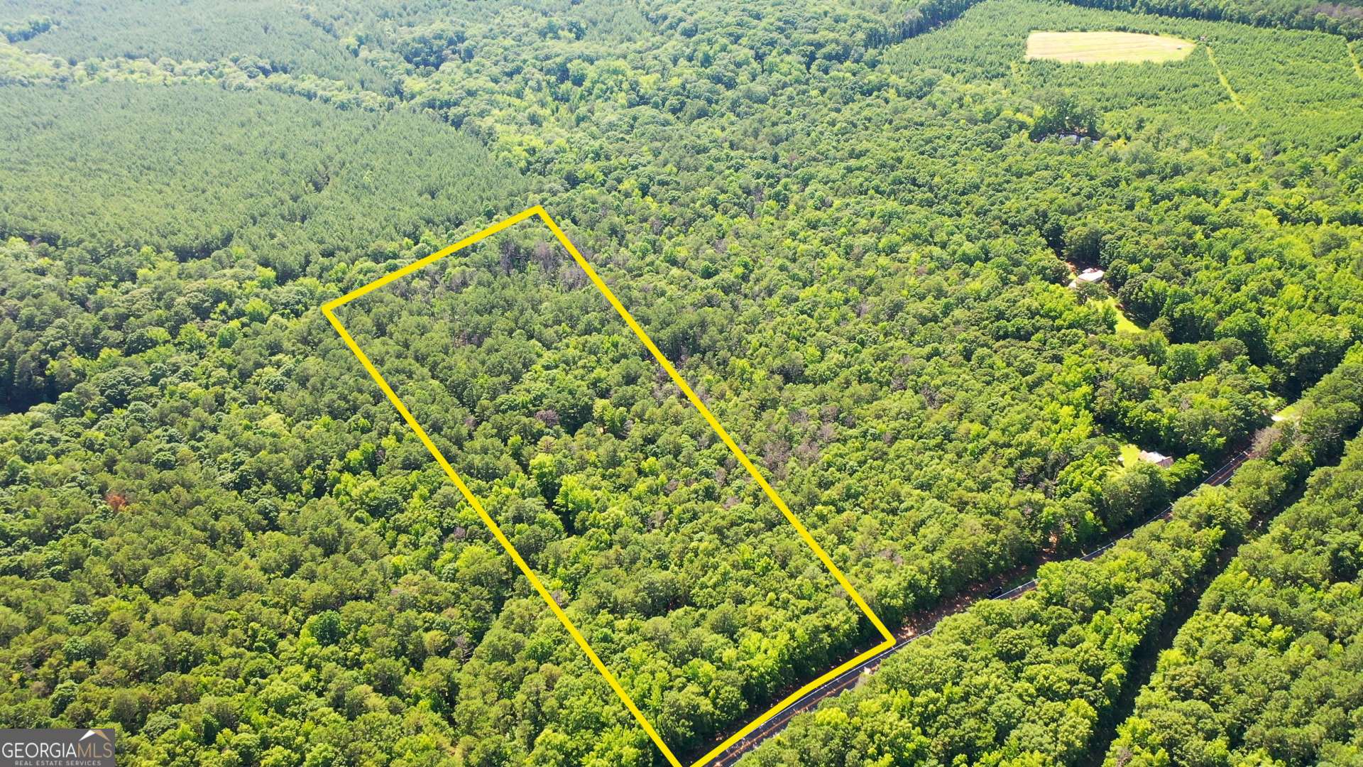 Sparta, GA 31087,9.82 +/- ACRES Springfield Road