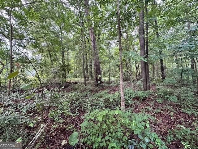 Nicholson, GA 30565,0 Nowhere Road