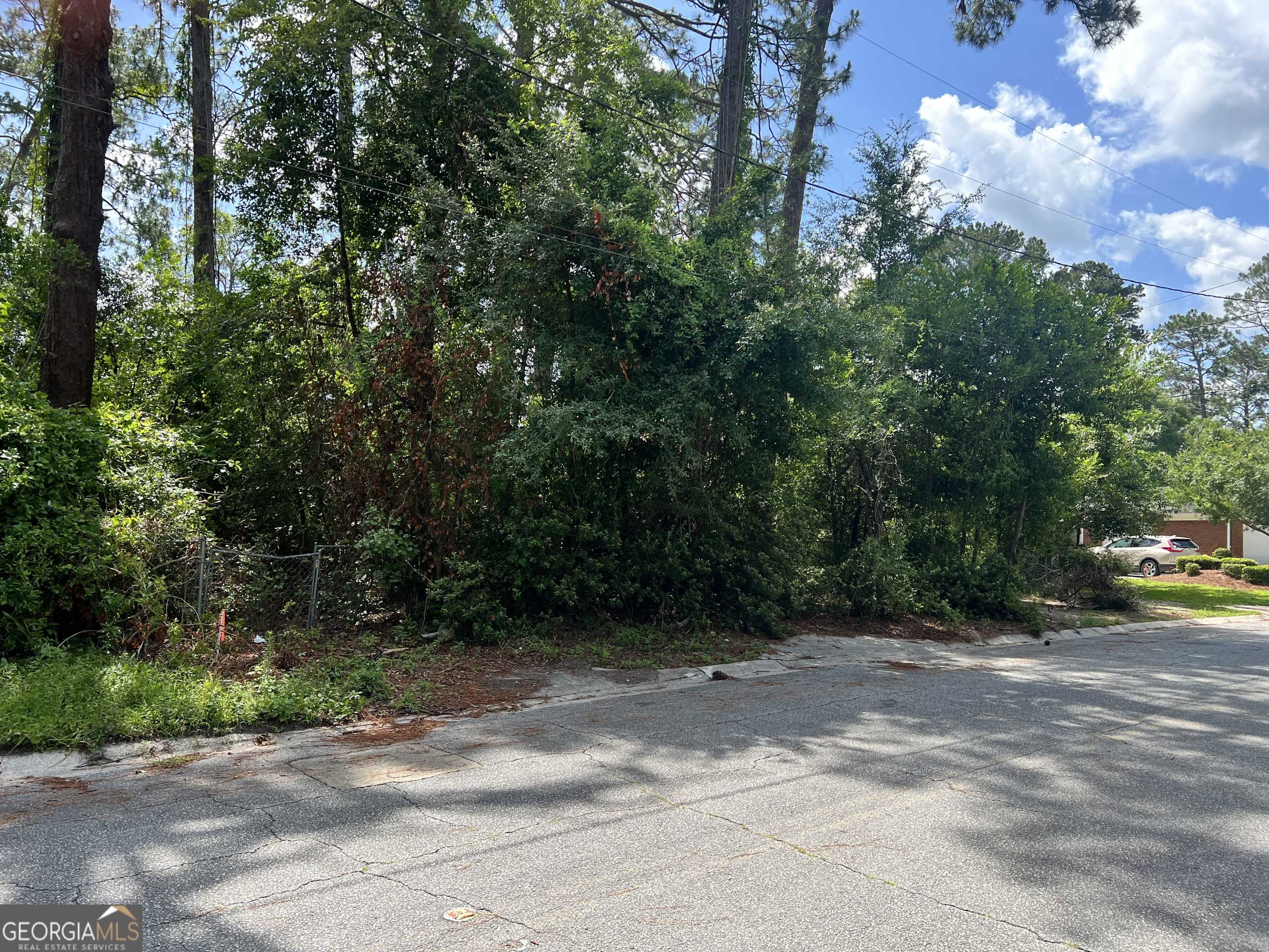 Waycross, GA 31501,0 St. Mary's Ave (Tract 2 0.25 Acres)