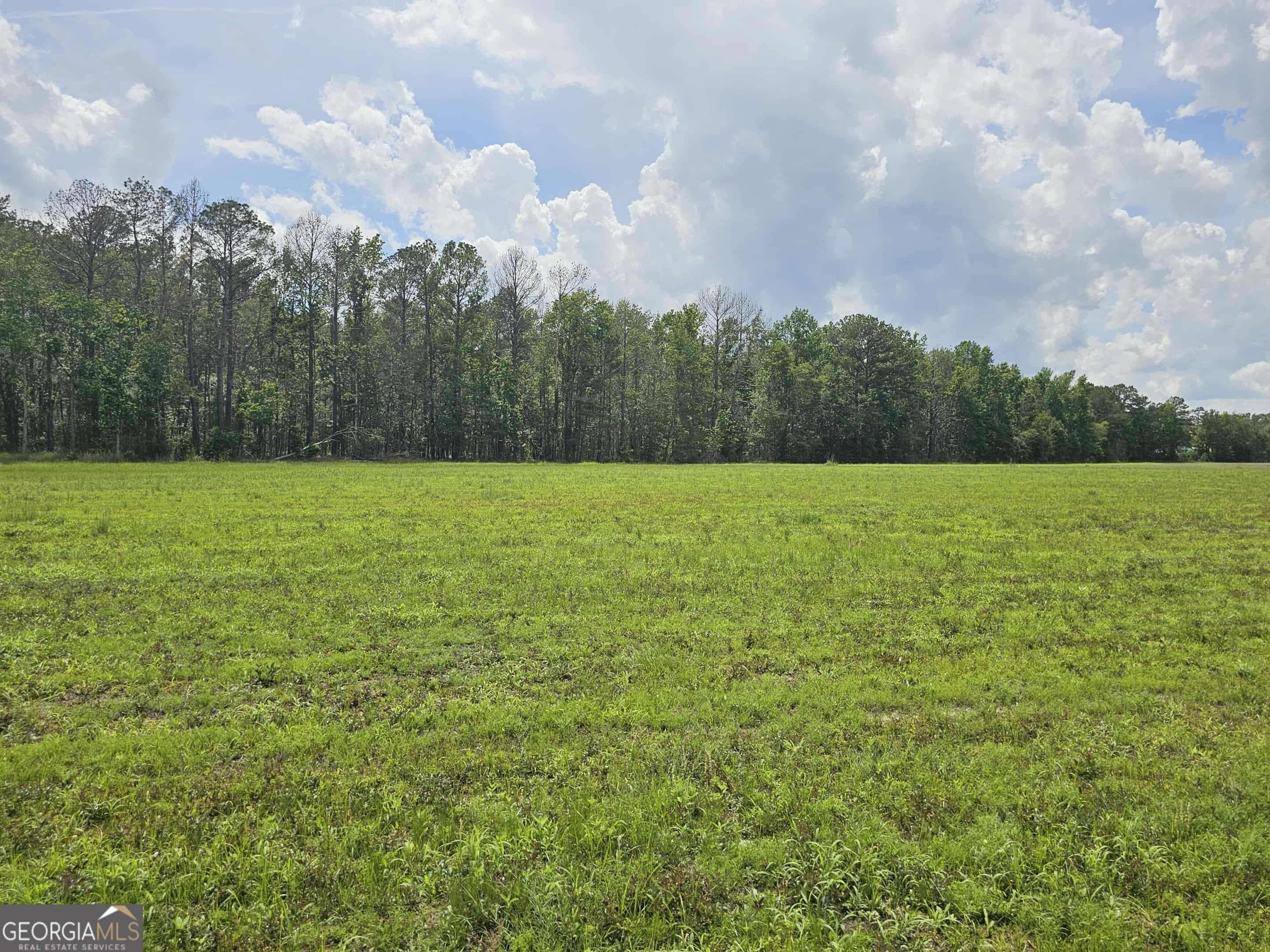 Brooklet, GA 30415,10143 Us Highway 80 E