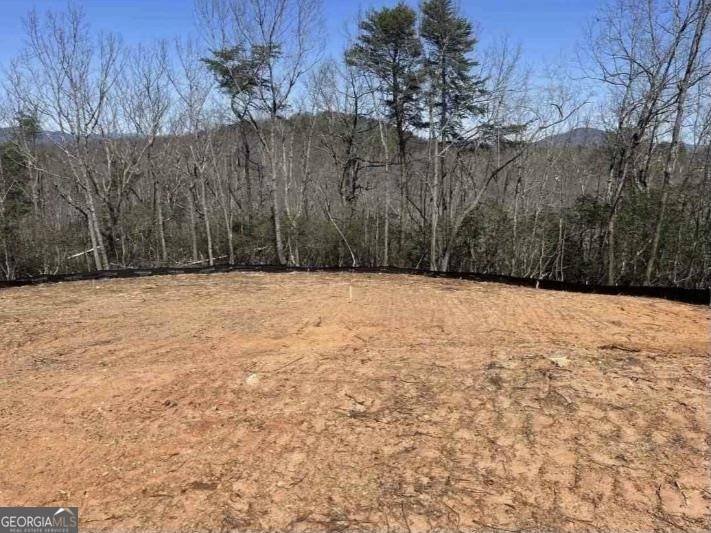 Cleveland, GA 30528,LOT 4 Lake View DR