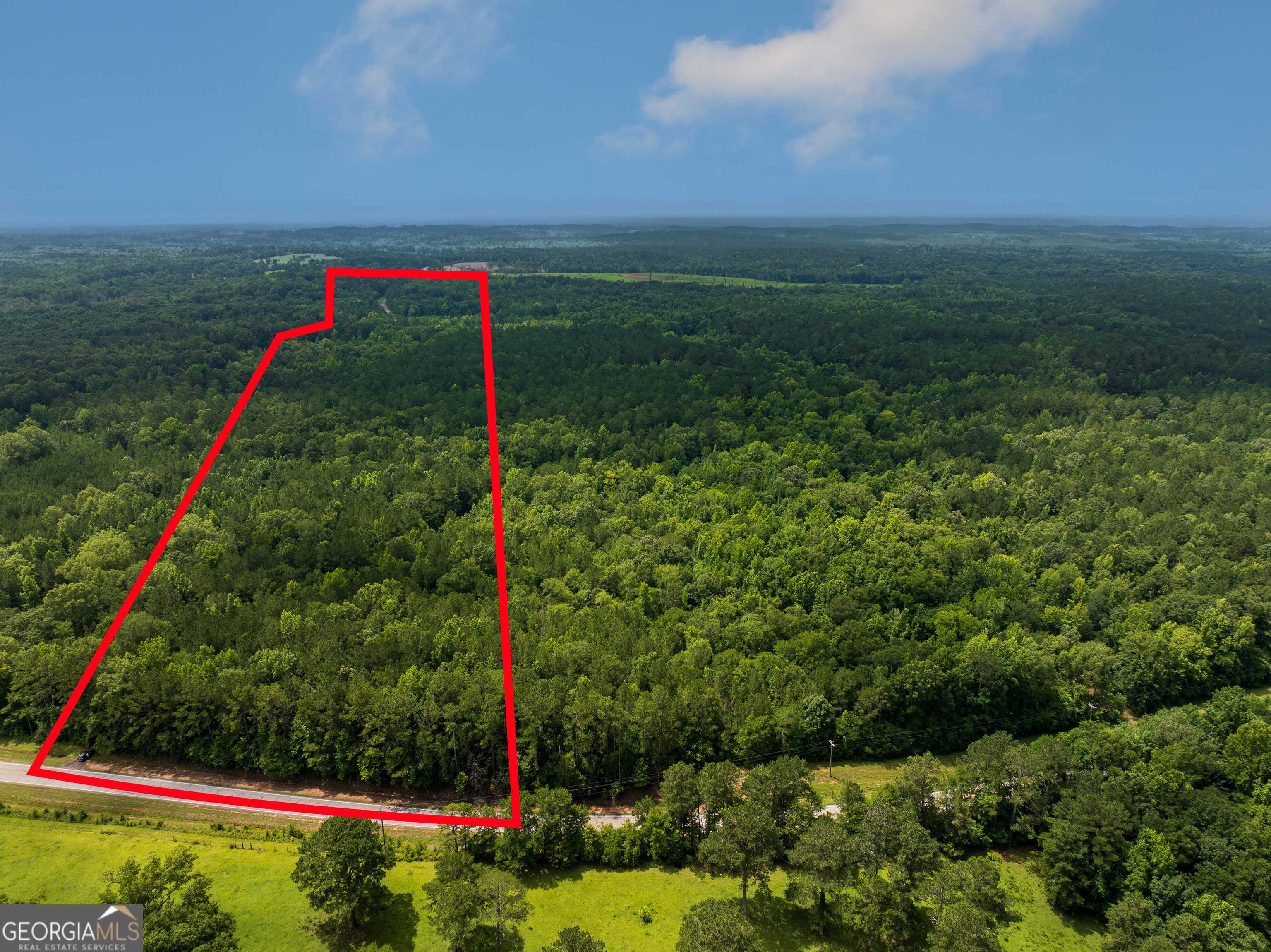 Roberta, GA 31078,8 ACRES Us Highway 80 W #LOT 2